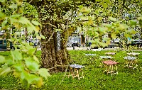 Jan Smejkal, terras onder dikke boom t/o galerie PHŒBUS•Rotterdam
PHŒBUS•Rotterdam